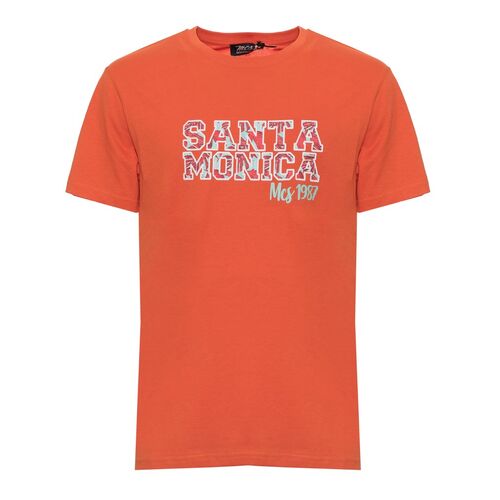 MCS X073 10BTS005-L2301 Orange