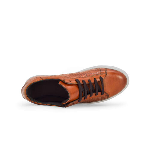 Duca di Morrone Giacomo Brandy