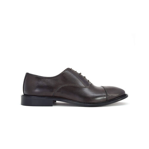 Duca di Morrone Amadeo Dark Brown